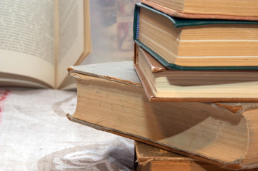 新手养猫必须了解的42条小常识