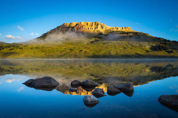 哪些花能代表一种坚韧不拔的精神？_4