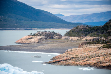 含有动物名称的四字词语有哪些