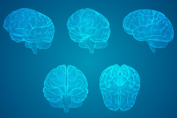 幼儿园优秀教案_8