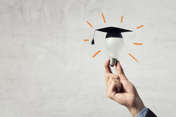 宠物寄养是什么意思