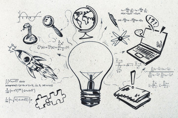 英语中以d开头的动物名称有哪些？