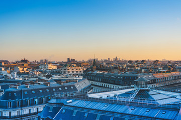 狗狗身上起红疙瘩