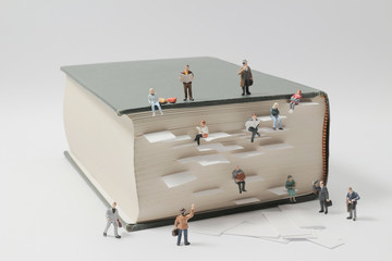 北京植物园都有哪些花可以看？