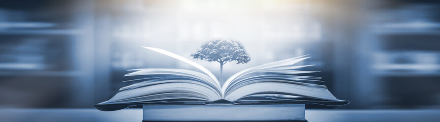 欧舒丹精华油怎么用_蜡菊精华油怎么样