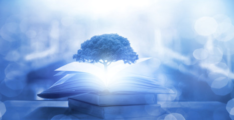 中国最好的法学专业大学排名