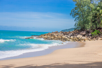 关于求知的短文