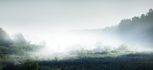 熊猫的英文怎么念？