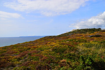冬季流感预防活动方案