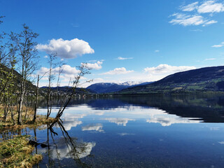谢霆锋在上海开的酒吧名字叫什么