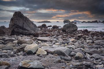 田中丽奈的人物评价