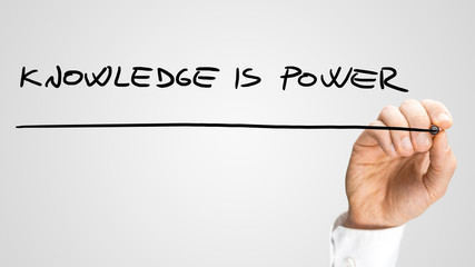 变色龙月季好养吗