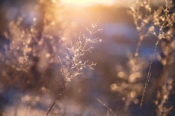 哪些博物馆适合孩子参观？