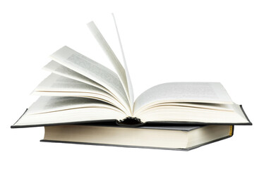 -莫哀一是-的意思