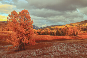 蒸馏和分馏的区别是什么？
