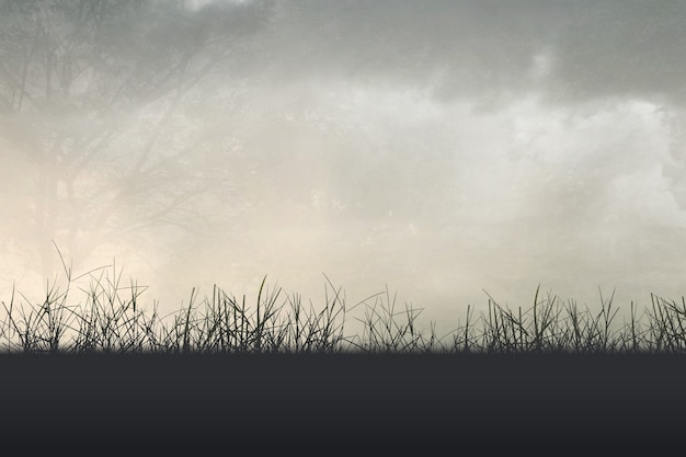 美国排名在前100名的公立大学