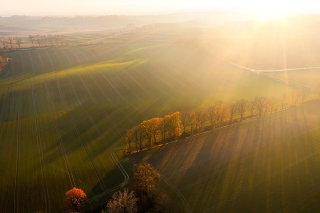 眼睫毛被拔下来还会长吗