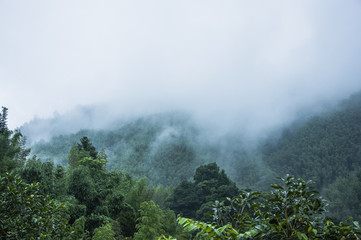孔孟家谱的排辈顺序
